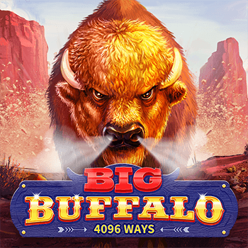 Big Buffalo