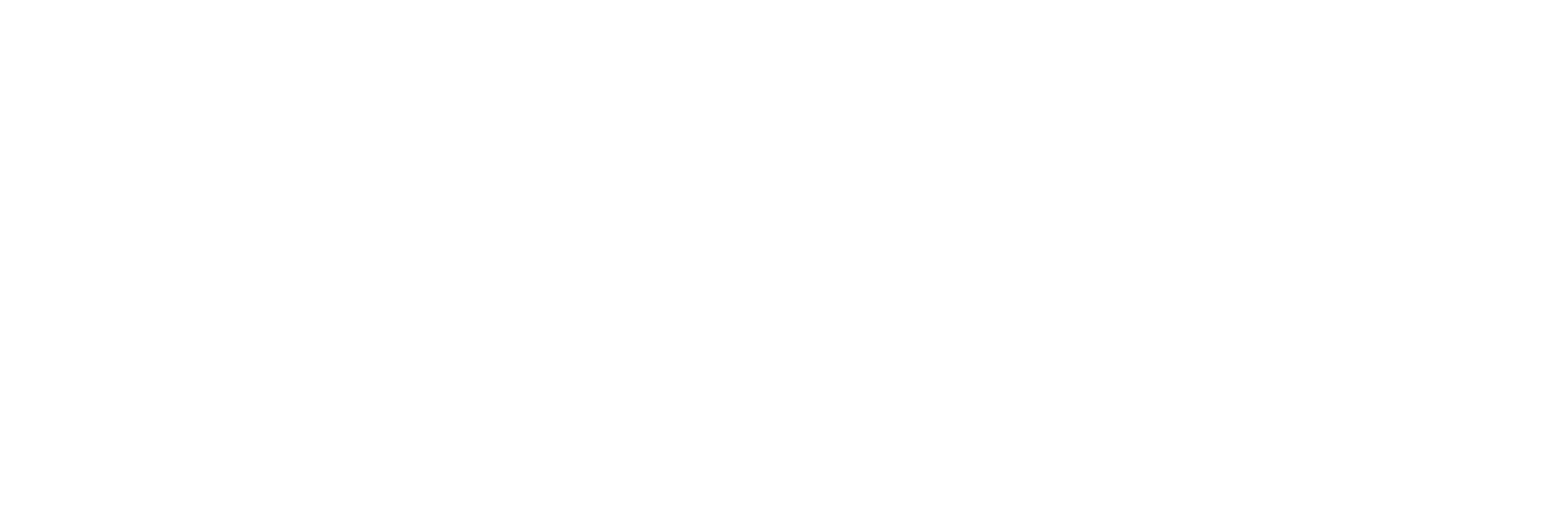 Amigo 13