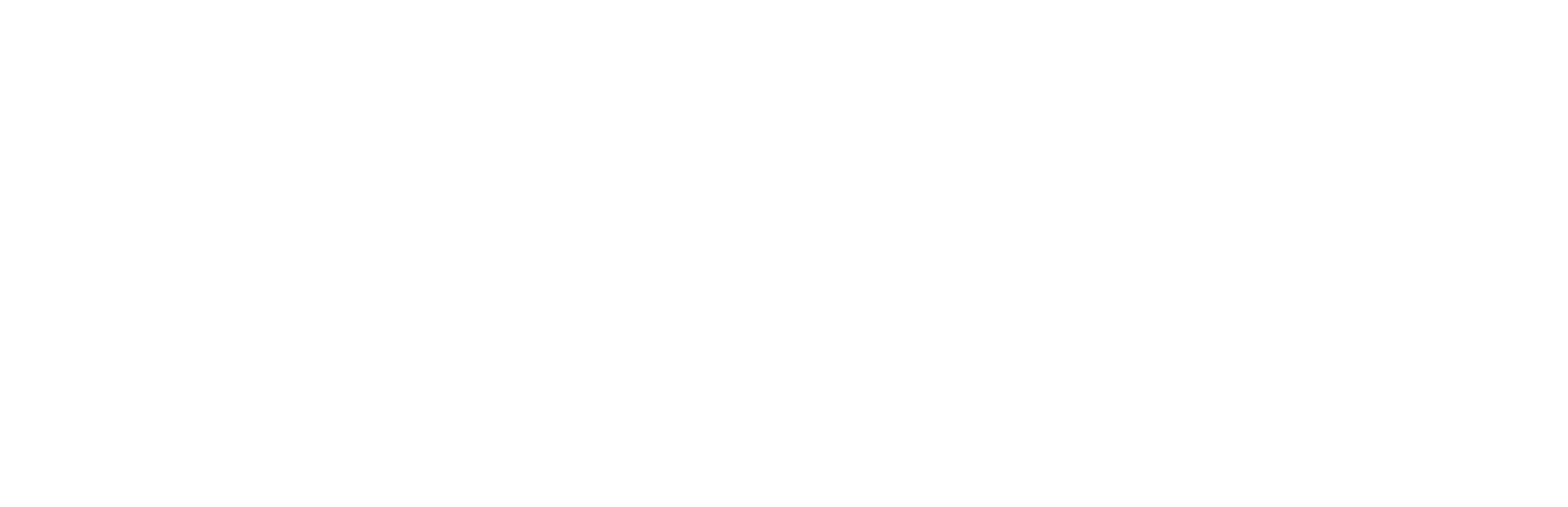 Exa 29