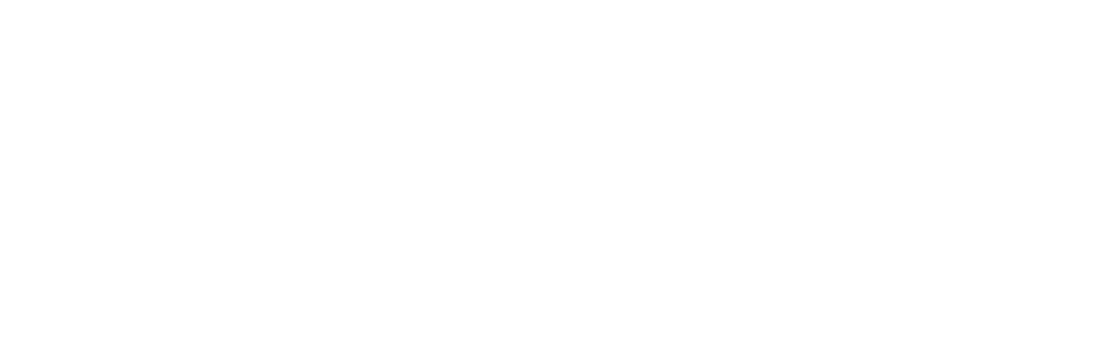 Amusnet W 06