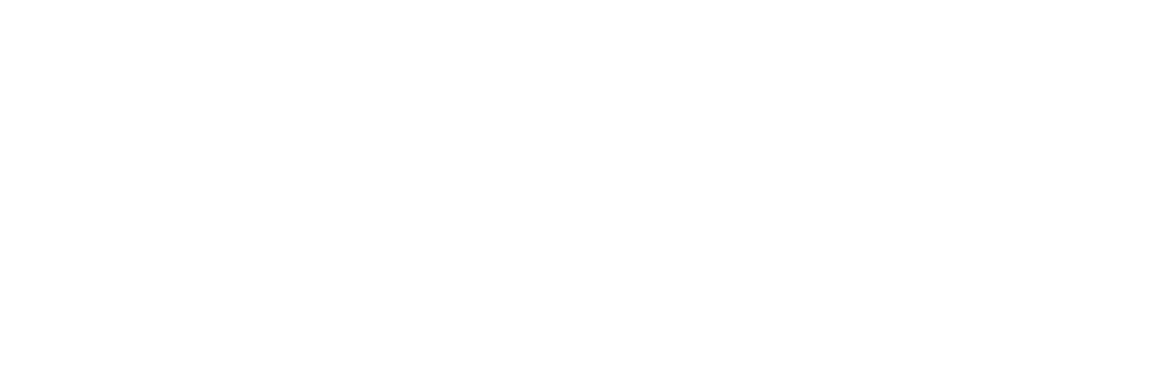 Evolution W 10