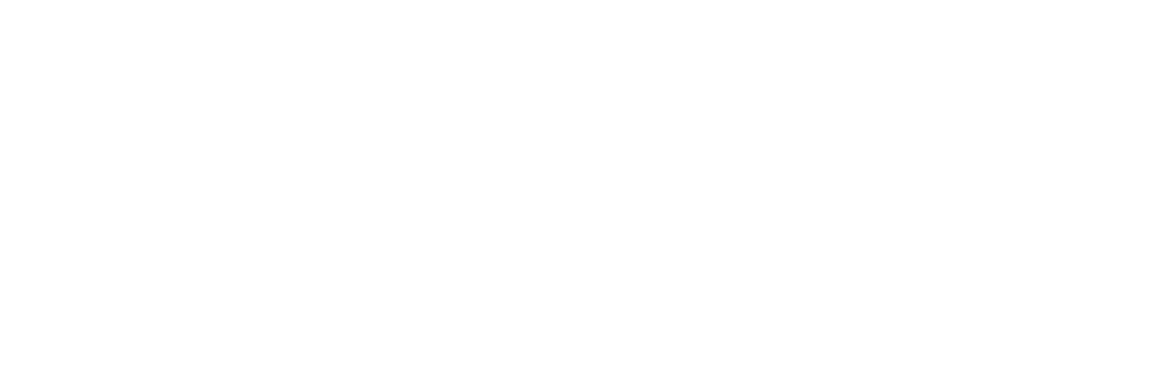 Smartsoft W 08